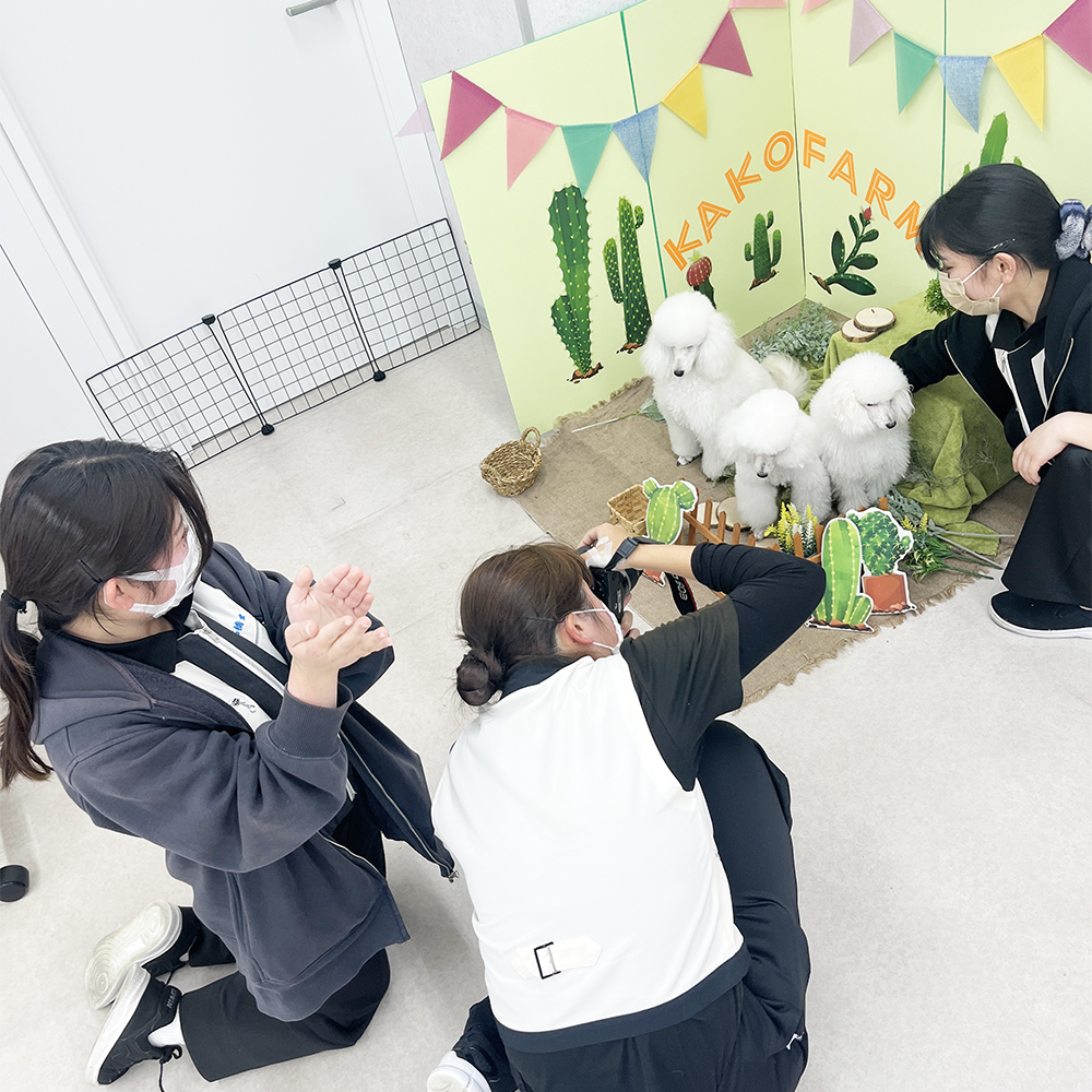 モデル犬の写真撮影会PART②